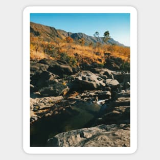 River Flowing Through Dry Grassland (Chapada dos Veadeiros NP, Brazil) Sticker